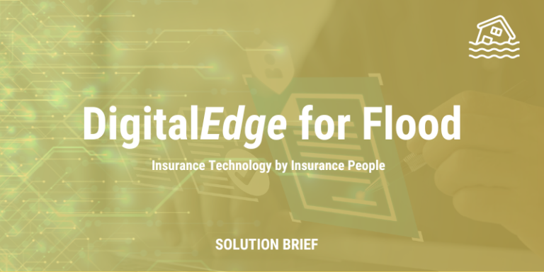 Digital<i>Edge</i> Policy for Flood