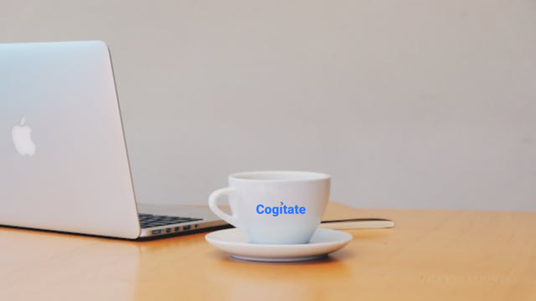 Cogitator POV: Why Cogitate?