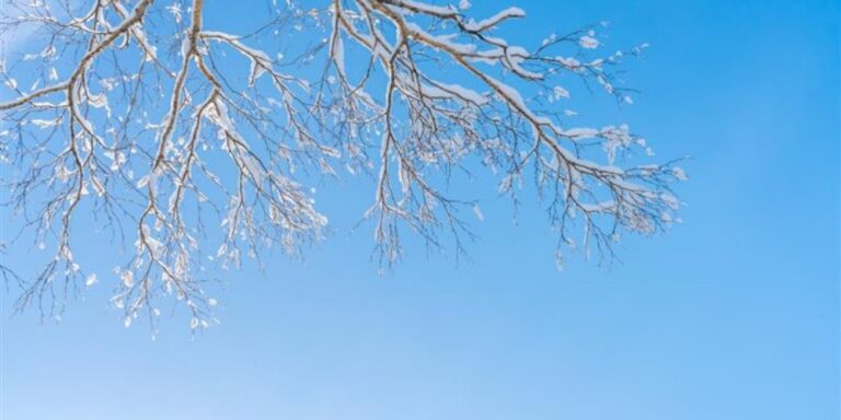 Deep Thinking Digest – January 2026